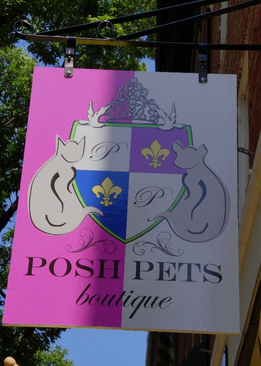 Posh Pets Boutique sign on Loudoun Street