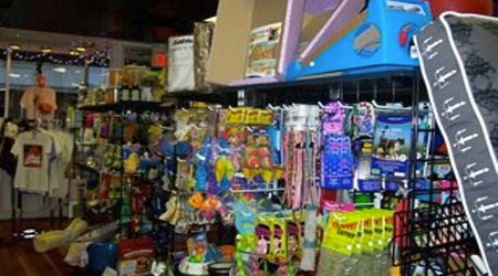 Toys and a whole lot of FUN!